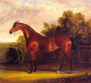 amc0018D1 cheval animal Peinture à l'huile